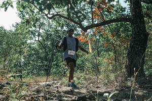 BIB: 
                            <button type="button" onclick="openModal(26113440)" class="btn btn-primary btn-sm float-right btn-popup" data-toggle="modal" data-target=".modal-high-quality">
                        <i class="fas fa-shopping-cart"></i> Add to Cart
                    </button>
                                            <button type="button" onclick="isThisMe(26113440, true)" class="btn btn-success btn-sm float-right btn-popup btn-isme hidden" data-toggle="tooltip" data-placement="bottom" title="นี่คือรูปของคุณใช่ไหม คลิกที่นี่เพื่อเอาเข้าอัลบั้ม">
                        <i class="fas fa-plus"></i> Add to album
                    </button>
                    <button type="button" onclick="isThisMe(26113440, false)" class="btn btn-warning btn-sm float-right btn-popup btn-isnotme hidden">
                        <i class="fas fa-ban"></i> Remove from album
                    </button>